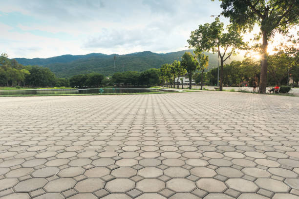 Best Driveway Pavers Near Me  in Durham, NC